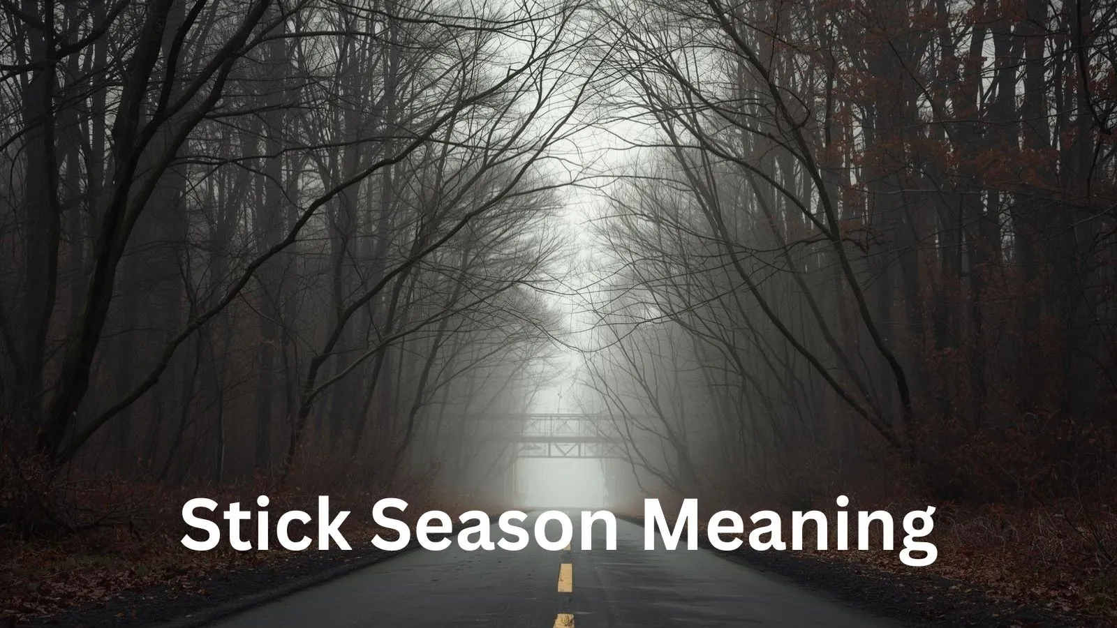 Stick Season Meaning